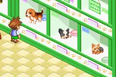 Dogz / gba