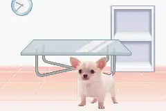 Pocket Dogs / gba Snap Image