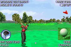 Tiger Woods PGA Tour 2004 / gba Snap Image