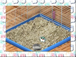 Hamster Monogatari 64 / n64 Snap Image