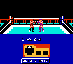 Hiryuu no Ken Special - Fighting Wars / nes Snap Image
