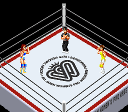 Fire Pro Woman- All Star Dream Slam / snes Snap Image